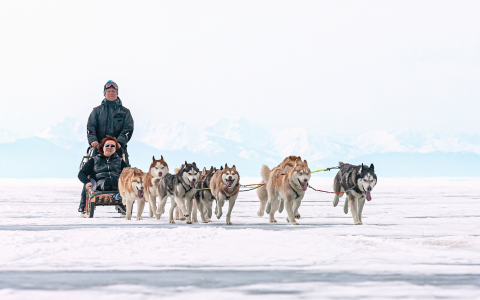Une aventure hivernale en traîneau à chiens