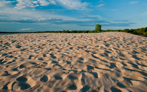 Lac Ontario - Sandbanks à vélo